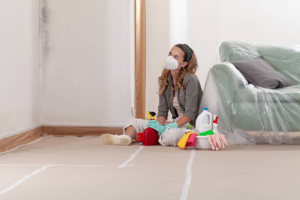 Reliable Mold Testing contractor in Bethel, NC by WQB Mold Removal